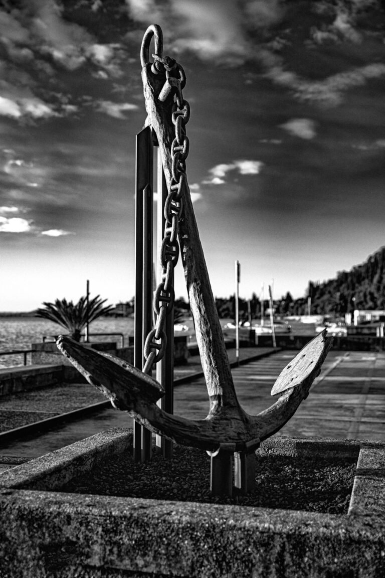 Anchored in Grace: Rising above life’s storms